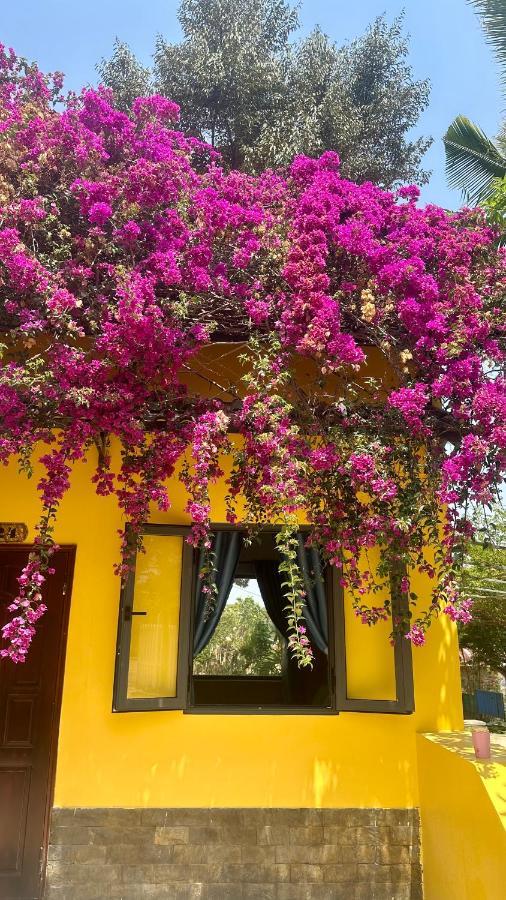 Bao Dien Guesthouse バオロク エクステリア 写真